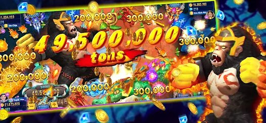 6566 bet